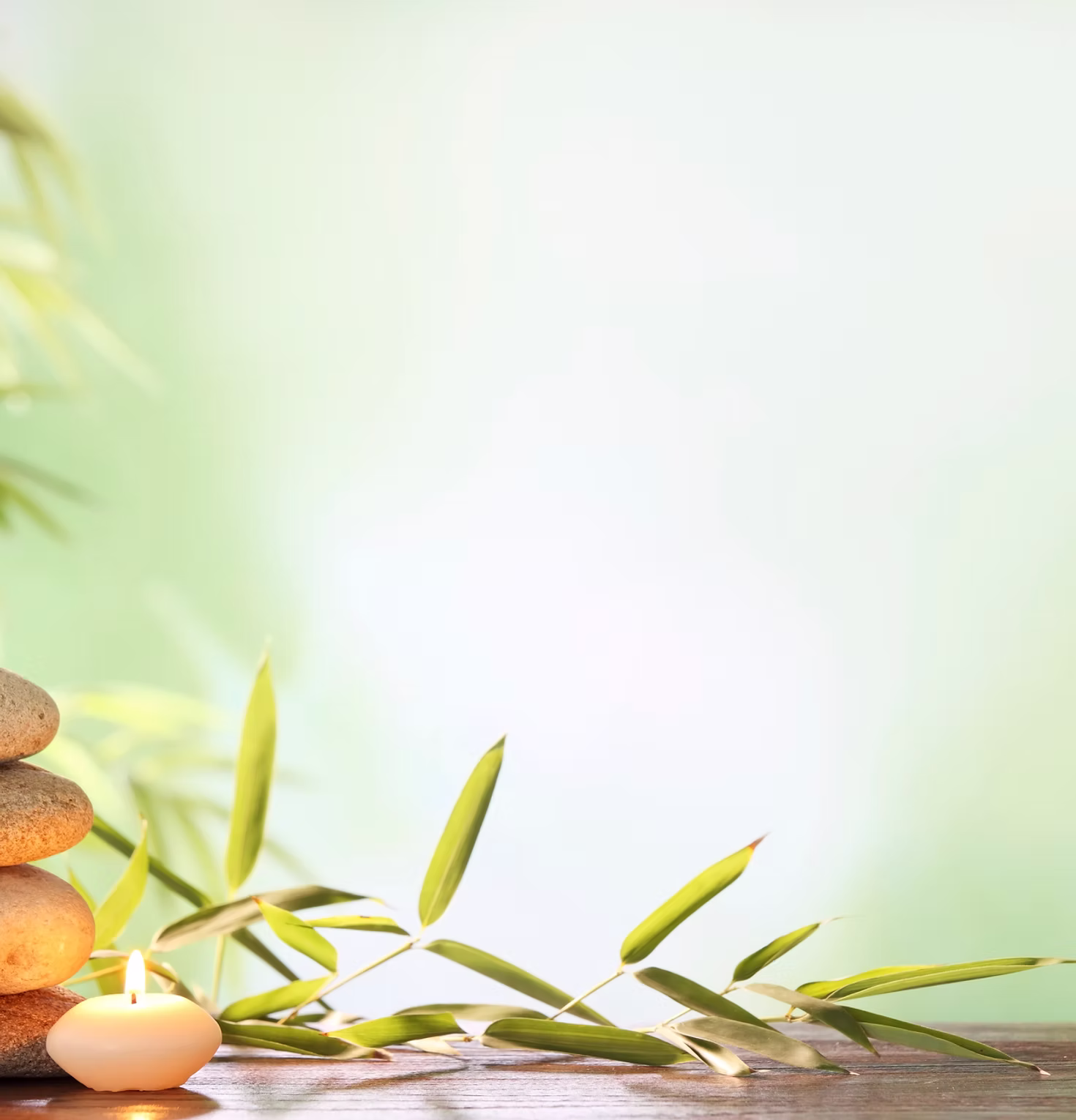 Bamboo leaves, smooth stones and a candle